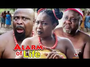 Alarm Of Life Season 1&2 - (Nkechi Nweje) 2019 Latest Nigerian NollywoodIgbo Movie Full HD